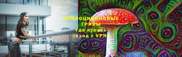 индика Володарск